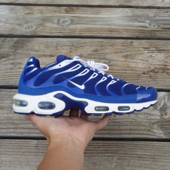 nike air max plus arctic chill